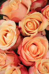 Image showing Multicolored wedding roses