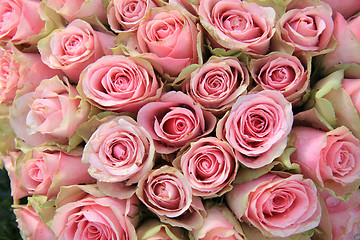 Image showing Pink roses in a wedding arrangement