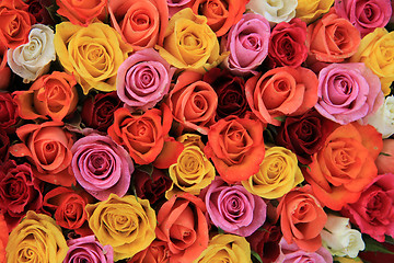 Image showing Multicolored wedding roses