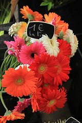 Image showing Gerberas at a flower market