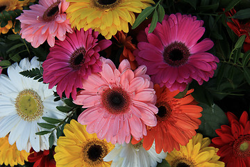 Image showing Gerberas in a colorful bridal bouquet