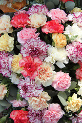 Image showing Pastel carnations
