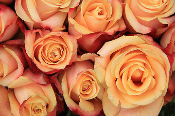 Image showing Multicolored wedding roses