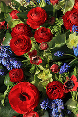 Image showing Spring flowers in red and blue