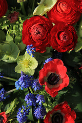 Image showing Spring flowers in red and blue