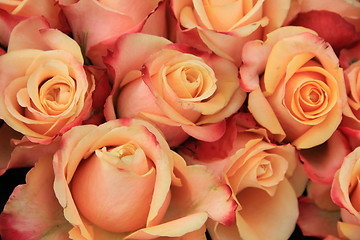 Image showing Multicolored wedding roses