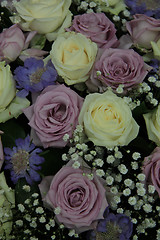 Image showing Purple and white wedding roses