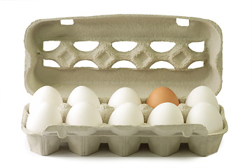 Image showing Eggs in a cardboard