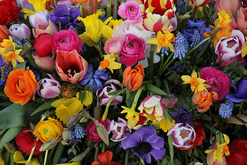 Image showing Colorful spring flowers