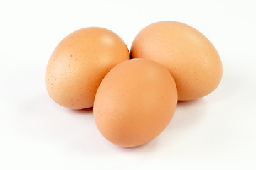 Image showing Fresh Eggs