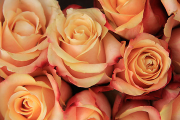 Image showing Multicolored wedding roses