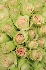 Image showing Pale pink roses in a wedding arrangement