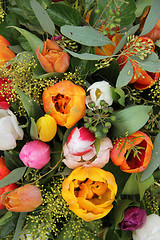 Image showing Mixed tulip arrangement