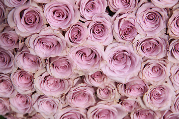 Image showing Purple rose wedding arrangement