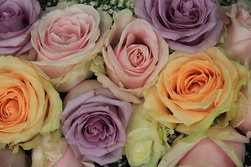 Image showing Bridal roses in soft colors