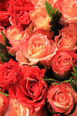 Image showing Red and pink roses