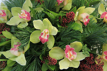 Image showing Green cymbidium orchids