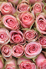 Image showing Pink roses in a wedding arrangement