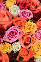 Image showing Multicolored wedding roses