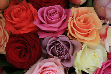 Image showing Mixed bridal roses