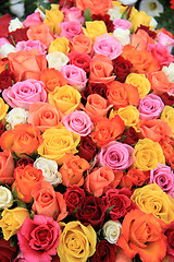 Image showing Multicolored wedding roses