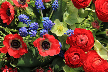 Image showing Spring flowers in red and blue