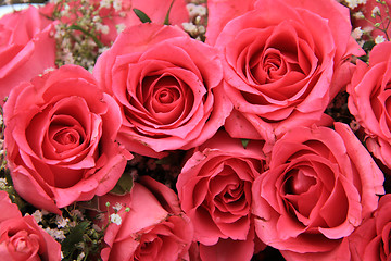 Image showing Pink roses in a bridal arrangement