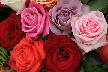 Image showing Mixed bridal roses