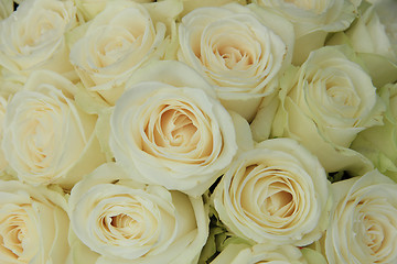 Image showing White roses in a wedding arrangement