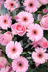 Image showing Pink bridal flowers