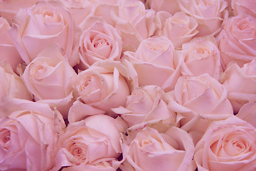 Image showing Pale pink wedding flowers