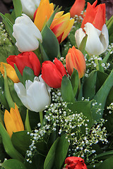 Image showing Tulips bouquet