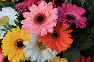 Image showing Gerberas in a colorful bridal bouquet