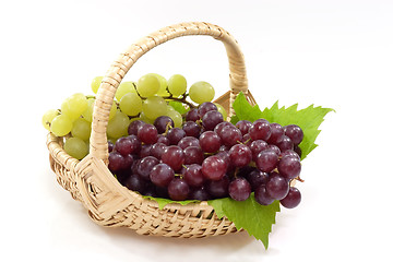 Image showing Basket with Grapes