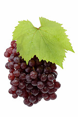 Image showing Fresh Red Grapes