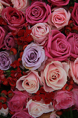 Image showing Bridal roses in pink and purple