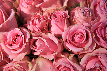 Image showing Pink roses in bridal bouquet