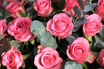 Image showing Pink roses and eucalyptus