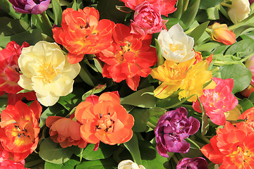 Image showing Multicolored tulip bouquet