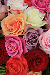 Image showing Mixed bridal roses