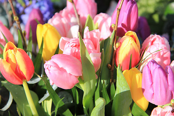Image showing Tulip bouquet