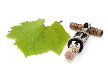 Image showing Grapeleaf with Corkscrew