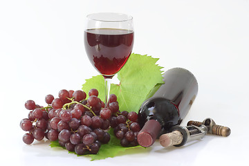 Image showing Grapewine