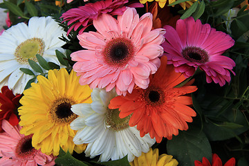 Image showing Gerberas in a colorful bridal bouquet