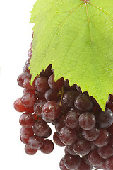 Image showing Juicy Red Grapes