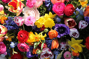 Image showing Colorful spring flowers