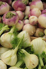 Image showing Turnip and fennel