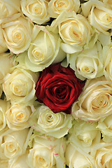 Image showing Red rose in white bouquet