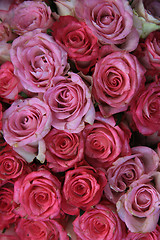 Image showing Mixed pink bridal roses