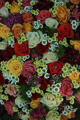 Image showing Mixed colorful wedding flower arrangement